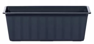 Prosperplast Skrzynka balkonowa 50 cm antracyt - Donice - miniaturka - grafika 1