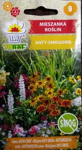 Mieszanka Roślin Anty-Smogowa Nasiona 2 G - Nasiona i cebule - miniaturka - grafika 1
