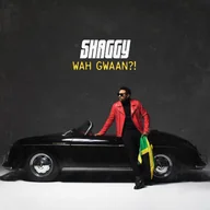 Pop - WAH GWAAN$7! PL) Shaggy Płyta CD) - miniaturka - grafika 1