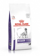 Sucha karma dla psów - Royal Canin Dental Medium/Large Dog 13 kg - miniaturka - grafika 1