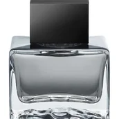 Wody i perfumy męskie - Antonio Banderas Seduction in Black For Men woda toaletowa spray 100ml - - miniaturka - grafika 1