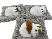 Maskotki i pluszaki - Kotek pluszowy na poduszce z dźwiękiem Mix Adar - zabawka - miniaturka - grafika 1