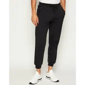 Dresy męskie - Replay Spodnie dresowe | Regular Fit - miniaturka - grafika 1