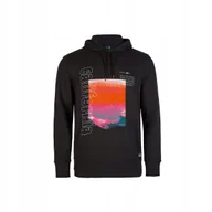 Bluzy męskie - Męska Bluza CALI MOUNTAINS HOODIE L - miniaturka - grafika 1