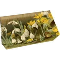 Mydła - Skona Ting Mydło 200g zapach cytrynowy - miniaturka - grafika 1