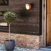 Klatki i wyposażenie dla ptaków - Capi Budka dla ptaków Oval 1, 24x19x23 cm, brązowa - miniaturka - grafika 1