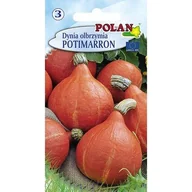 Nasiona i cebule - Dynia Olbrzymia Potimaron Polan - miniaturka - grafika 1