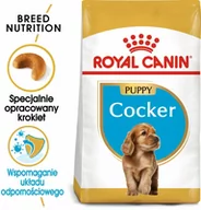 Sucha karma dla psów - Royal Canin Cocker Junior 3 kg - miniaturka - grafika 1