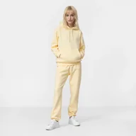 Spodnie sportowe damskie - Damskie spodnie dresowe CHAMPION ROCHESTER Elastic Cuff Pants - miniaturka - grafika 1