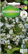 Nasiona i cebule - Niezapominajka Indigo 0.5 g POLAN - miniaturka - grafika 1