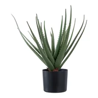 Sztuczne kwiaty - Sztuczna roślina (wysokość 51 cm) Aloe Vera – House Nordic - miniaturka - grafika 1