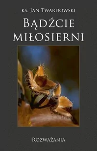 Bernardinum Badźcie miłosierni. Rozważania - Jan Twardowski - Religia i religioznawstwo - miniaturka - grafika 2