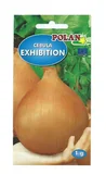 Nasiona i cebule - Cebula Exhibition Inkrustowana 1 g POLAN - miniaturka - grafika 1