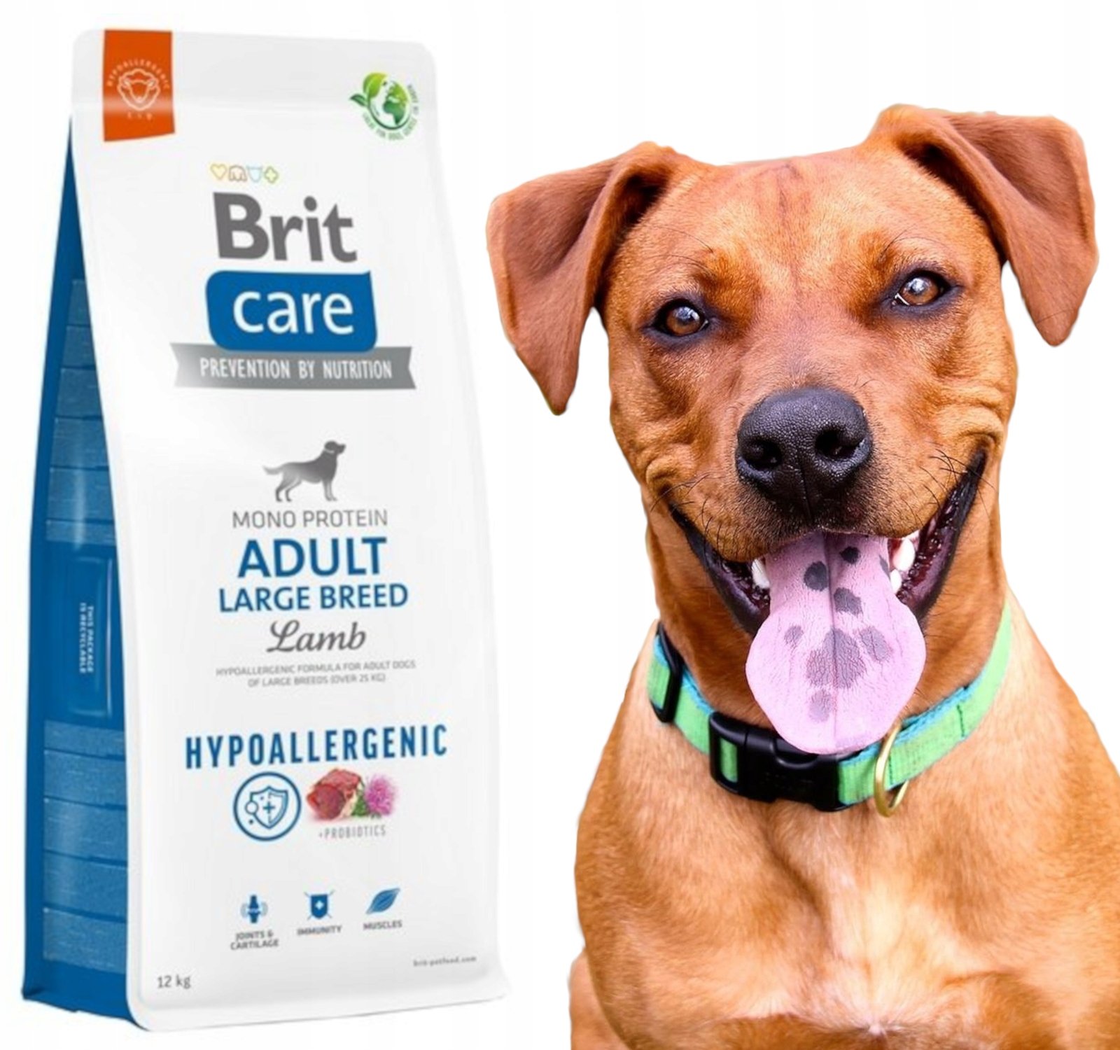 Brit Karma hipoalergiczna dla psów BRIT Care Adult Large Breed, jagnięcina i ryż, 12 kg