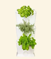 Systemy inteligentnych domów - Minigarden MiniGarden One Set White MGONESET1WH - miniaturka - grafika 1