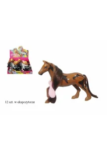 Konik - Albumy krajoznawcze - miniaturka - grafika 1