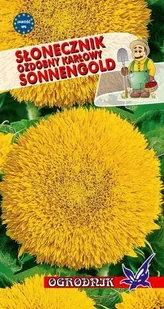 Słonecznik ozd. karłowy Sonnegold 2g / O / - Nasiona i cebule - miniaturka - grafika 1