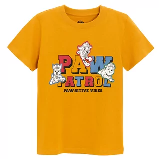 Koszulki dla chłopców - Cool Club, T-shirt chłopięcy, musztardowy, Psi Patrol - grafika 1