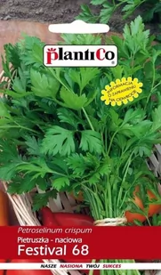 Plantico Pietruszka naciowa Festival 68 5g - Nasiona i cebule - miniaturka - grafika 1