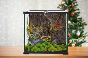 Repti Planet REPTI PLANET terrarium szklane 30x30x45cm - Terraria - miniaturka - grafika 1