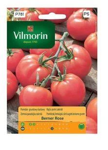 Pomidor gruntowy karłowy Berner Rose 0,2 g Vilmorin - Nasiona i cebule - miniaturka - grafika 1