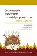 Technika - Otrzymywanie warstw złota o rozwiniętej powierzchni - miniaturka - grafika 1