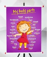 Pomoce naukowe - Plansza- My body parts - miniaturka - grafika 1