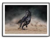 Plakaty - Plakat r A3 42x30 cm Zwierzęta Konie Koń Natura - miniaturka - grafika 1