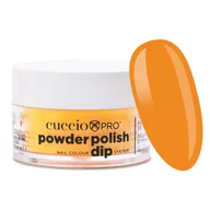 Manicure tytanowy - 6343 Puder tytanowy Dip System 14 g KJ ON THE MIC - miniaturka - grafika 1