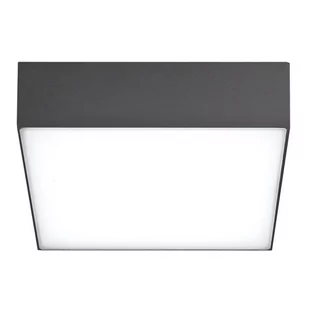 AZZARDO CASPER AZ4499 plafon sufitowy 1x15W/LED IP54 AZ4499 - Lampy ogrodowe - miniaturka - grafika 1