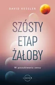E-booki - poradniki - Szósty etap żałoby. W poszukiwaniu sensu - miniaturka - grafika 1