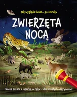 Książki edukacyjne - Zwierzęta nocą Nocne safari z latarką w ręku Lisa Regan - miniaturka - grafika 1