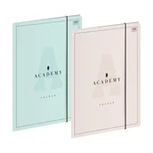 Teczki i skoroszyty - Interdruk Teczka gumka A4+ Academy pastel - miniaturka - grafika 1