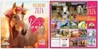 Kalendarze - Kalendarz 2026 ścienny Classic Konie - miniaturka - grafika 1