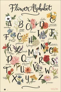 GBeye Educational Alphabet - plakat GN0581 - Plakaty - miniaturka - grafika 1