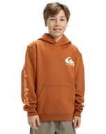 Bluzy dla chłopców - Quiksilver Chłopięca bluza z kapturem Omni Logo Młodzieżowy sweter (1 szt.) - miniaturka - grafika 1