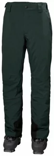 Spodnie sportowe męskie - Męskie spodnie narciarskie HELLY HANSEN LEGENDARY INSULATED PANTS - zielone - grafika 1