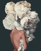 Malowanie po numerach - Malowanie po numerach, 40x50 cm - Zmysłowe piwonie - miniaturka - grafika 1