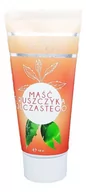 Żele i maści lecznicze - FARM-VIX Farm-vix Maść z Ruszczyka Kolczastego 100 ml tuba - miniaturka - grafika 1