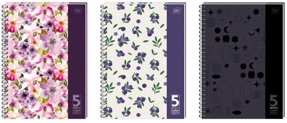 Kołozeszyt B5/160K kratka 5 kol registrów 5szt