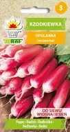 Nasiona i cebule - Rzodkiewka Opolanka (Poddłużna Czerwona Z Białym Końcem, Wczesna) Raphanus Sativus L. - miniaturka - grafika 1