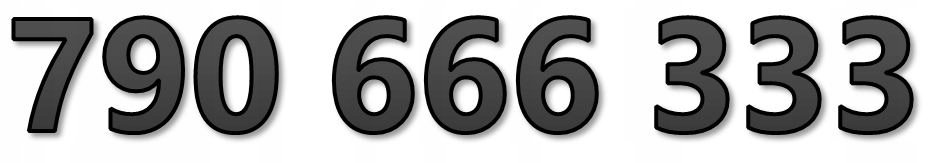 790 666 333 Złoty Numer Starter Play Łatwy Prepaid Karta Sim Gsm