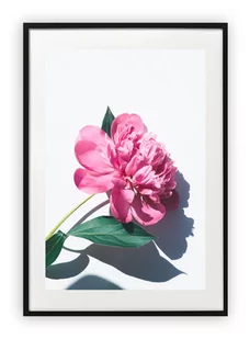 Plakat B1 70x100 cm Kwiat Rośliny Wiosna WZORY - Plakaty - miniaturka - grafika 1