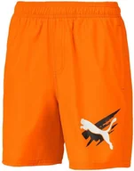 Spodenki męskie - Spodenki szorty dziecięce Puma Summer Shorts r.S - miniaturka - grafika 1