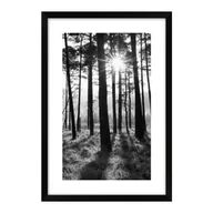 Obrazy i zdjęcia na płótnie - Obraz Las czarno-biały 60 x 90 cm - miniaturka - grafika 1