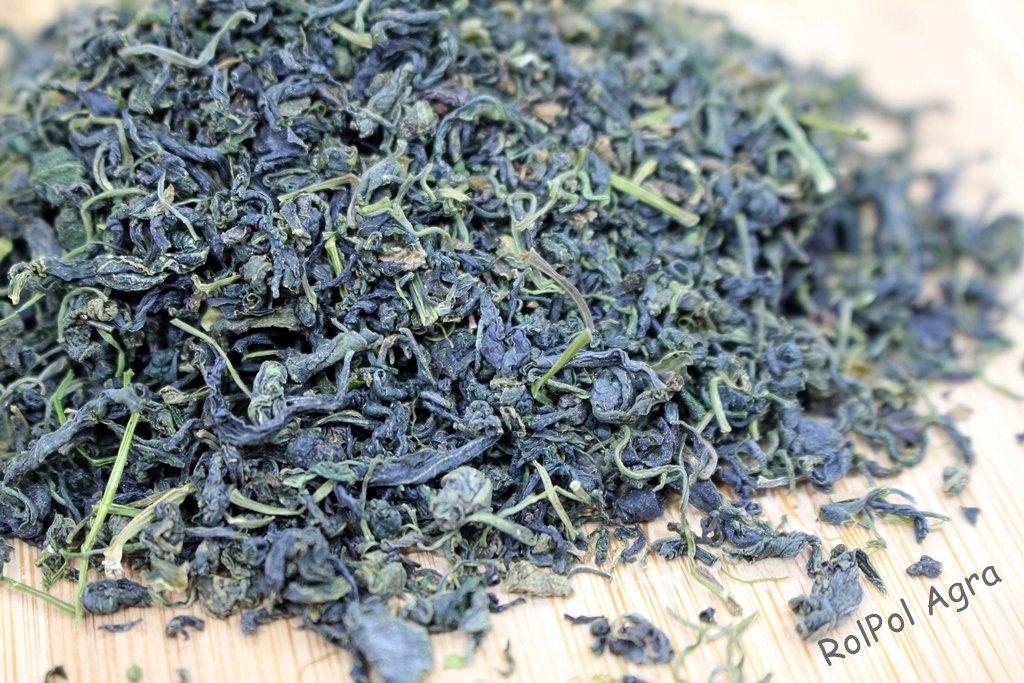 Gynostemma Jiaogulan Zioło Życia 500g