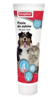 Suplementy i witaminy dla psów - Beaphar PASTA DO ZĘBÓW 100G pasta do zębów o smaku wątróbki dla psów i kotów 54215-uniw - miniaturka - grafika 1