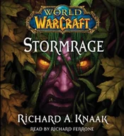 Audiobooki obcojęzyczne - World of Warcraft: Stormrage - miniaturka - grafika 1