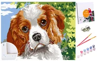 Malowanie po numerach - Zestaw do malowania po numerach dla dzieci, 20x30 cm, Uroczy Cavalier - miniaturka - grafika 1
