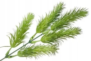 Gałązka Drobna Do Stroiki Bukiety Dodatek Liść Gumowane Zielona Kompozycji - Sztuczne kwiaty - miniaturka - grafika 1